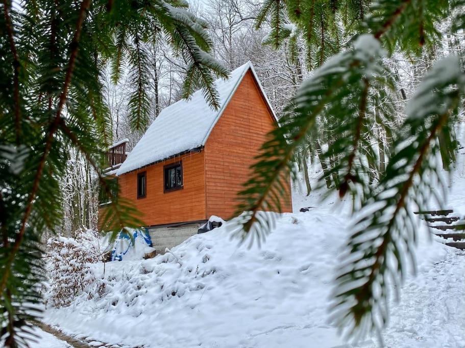 Chata Pod Pindulou Villa Roznov pod Radhostem Exterior photo